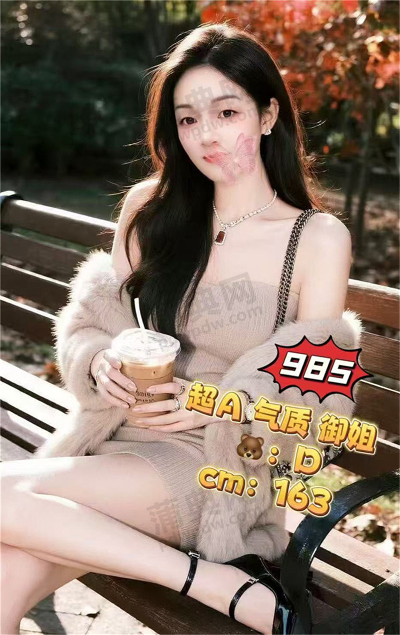 ZL985